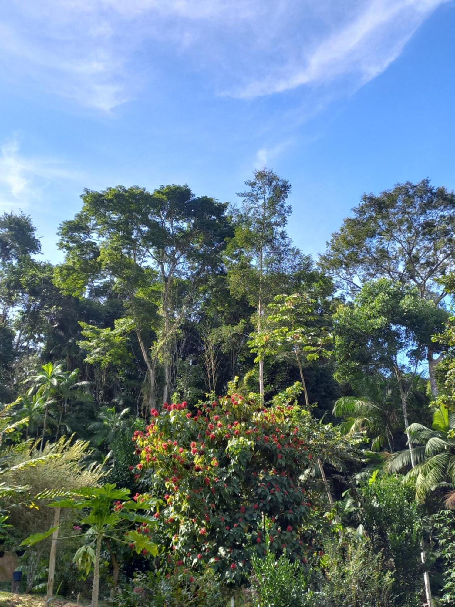 Recanto Dos Lobosco Villa Paraty Luaran gambar