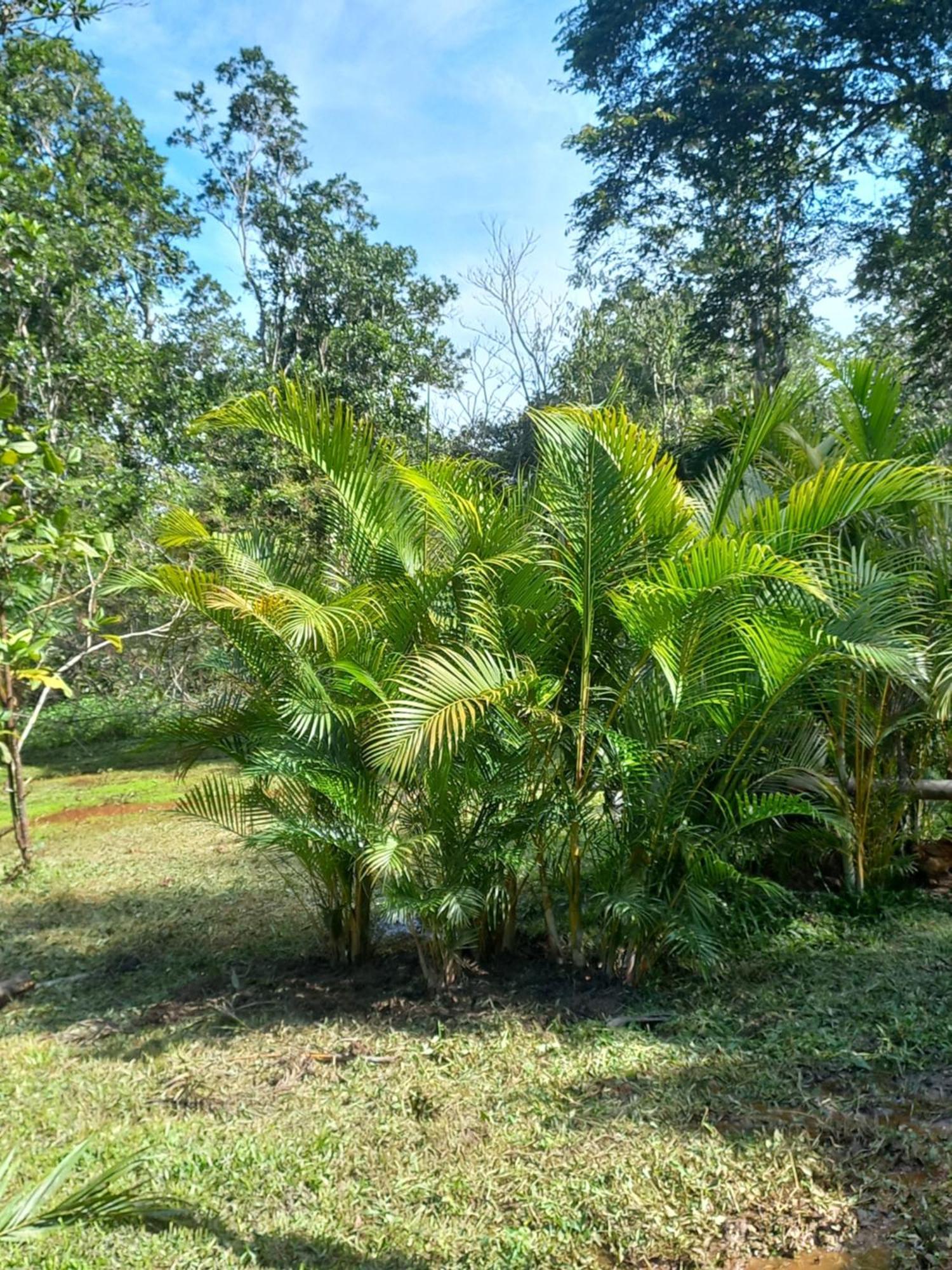 Recanto Dos Lobosco Villa Paraty Luaran gambar
