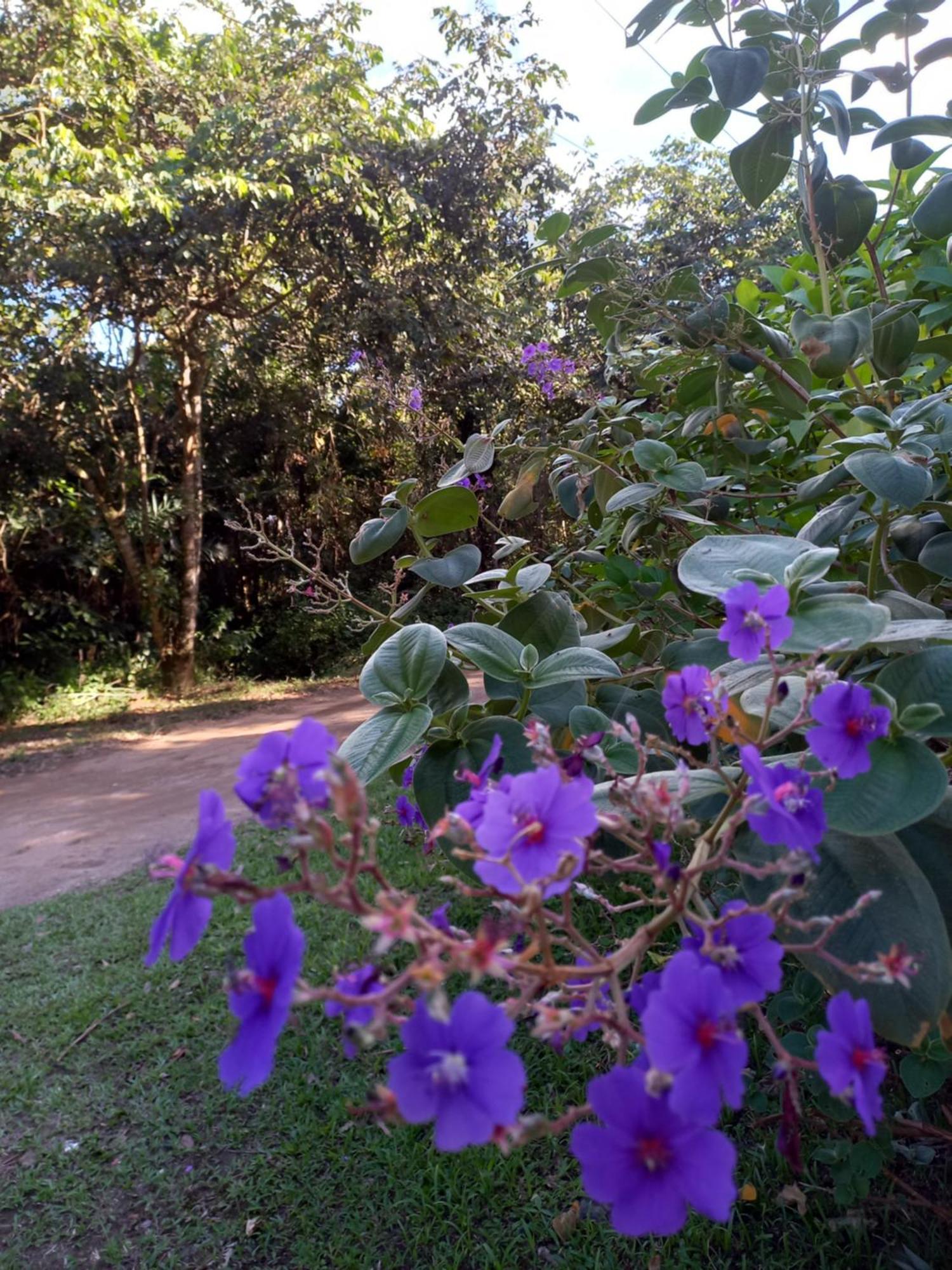 Recanto Dos Lobosco Villa Paraty Luaran gambar