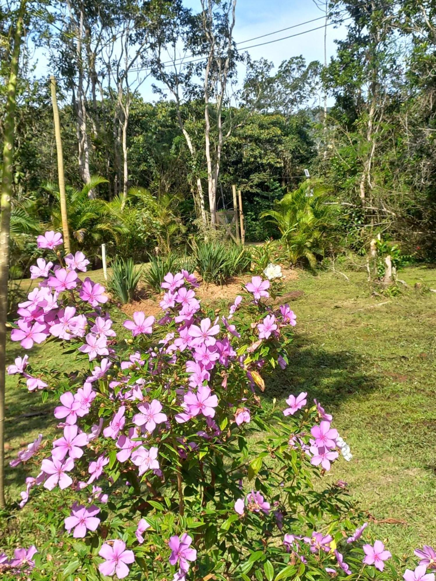 Recanto Dos Lobosco Villa Paraty Luaran gambar